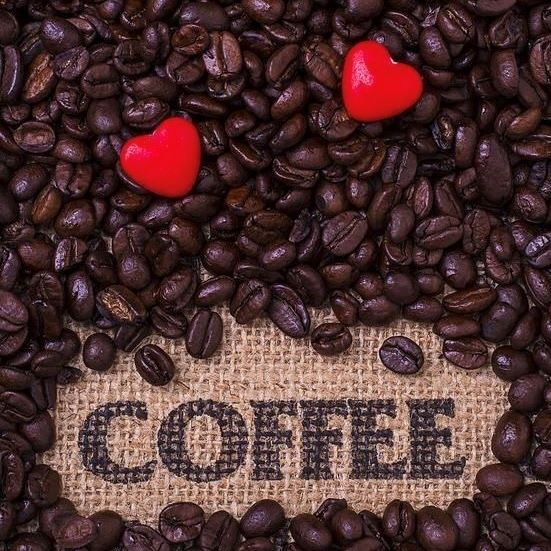 égustation de café en pleine nature